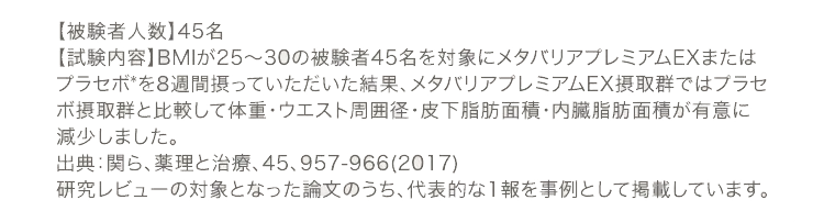 注釈